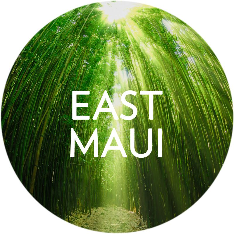 Search East Maui Real Estate
