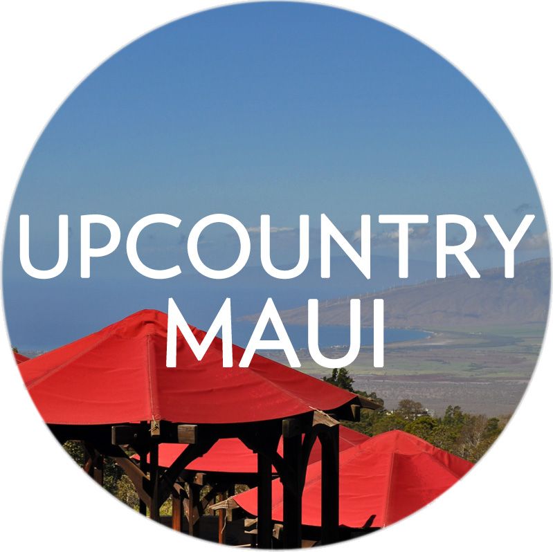 Search Upcountry Maui Real Estate