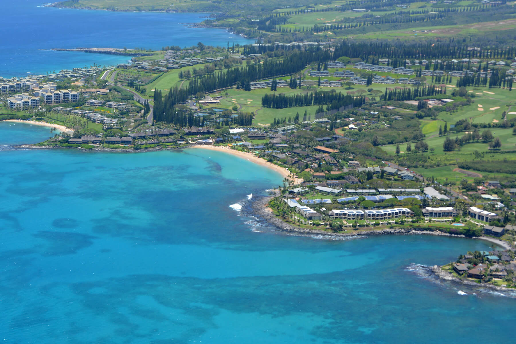 Hale Napili Condos for Sale Condo Listings