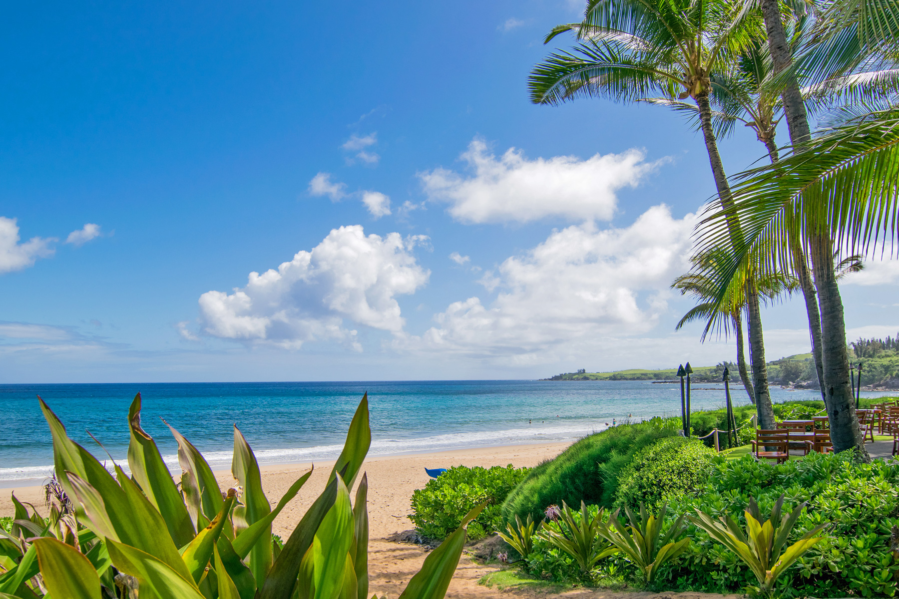 RitzCarlton Residences Kapalua Sales Condominiums For Sale
