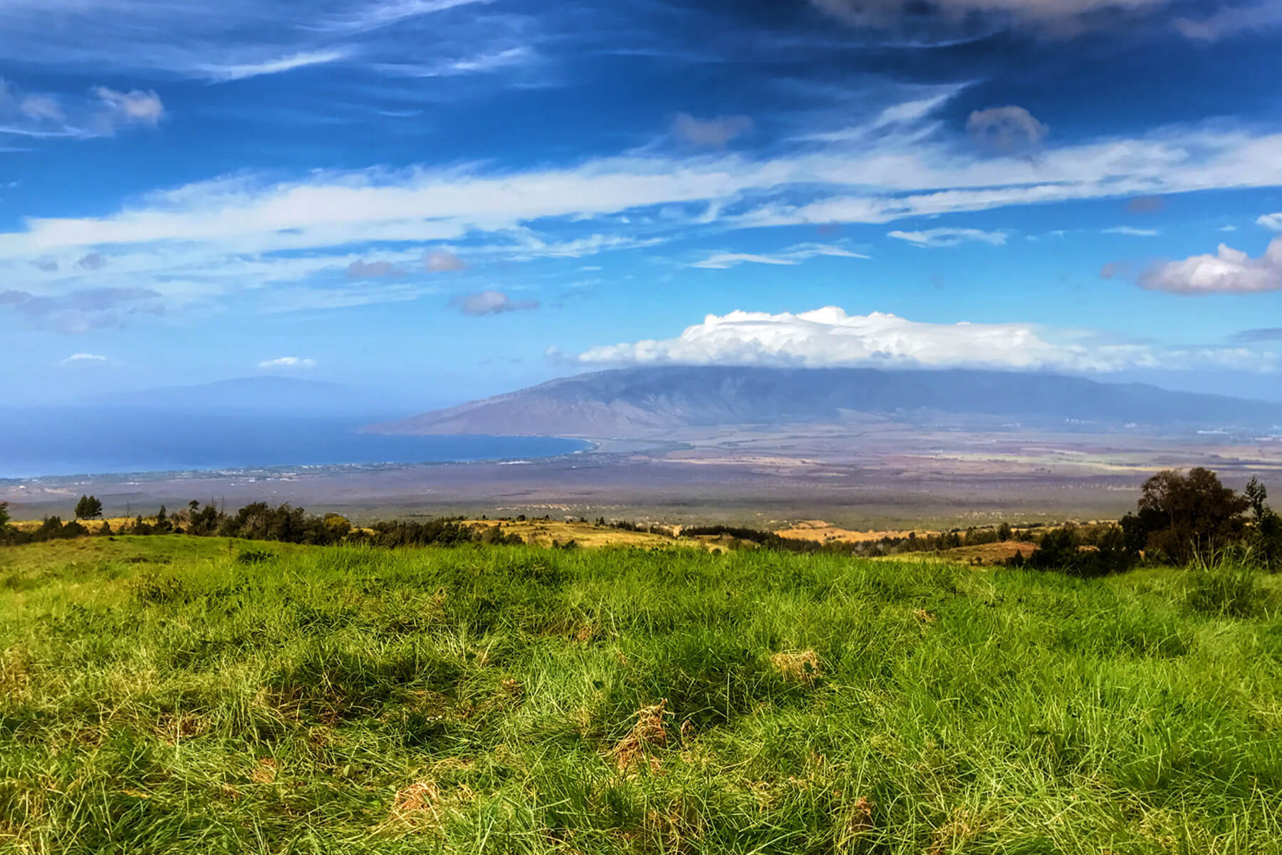 Kula Maui Ulupalakua Homes for Sale