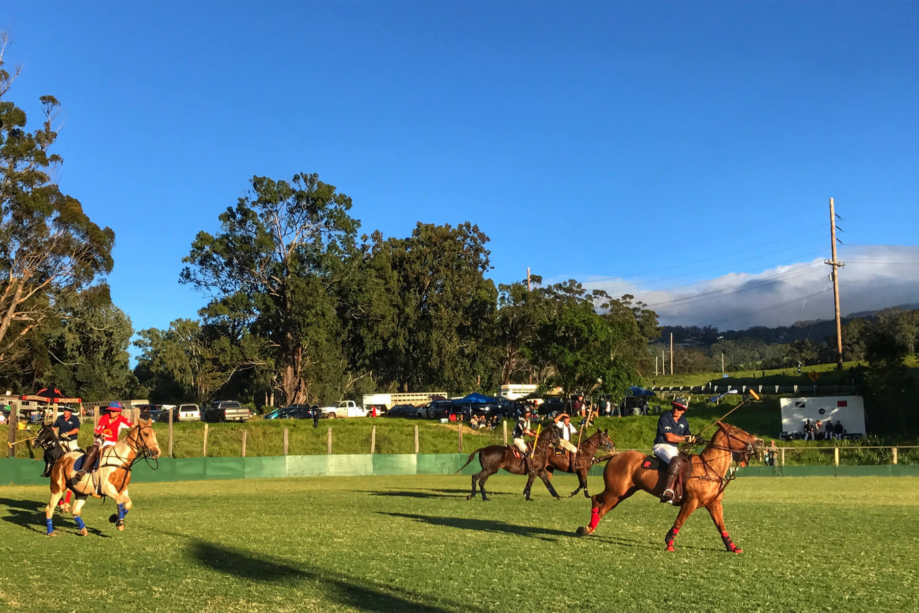 Makawao Maui Olinda Haliimaile Homes for Sale