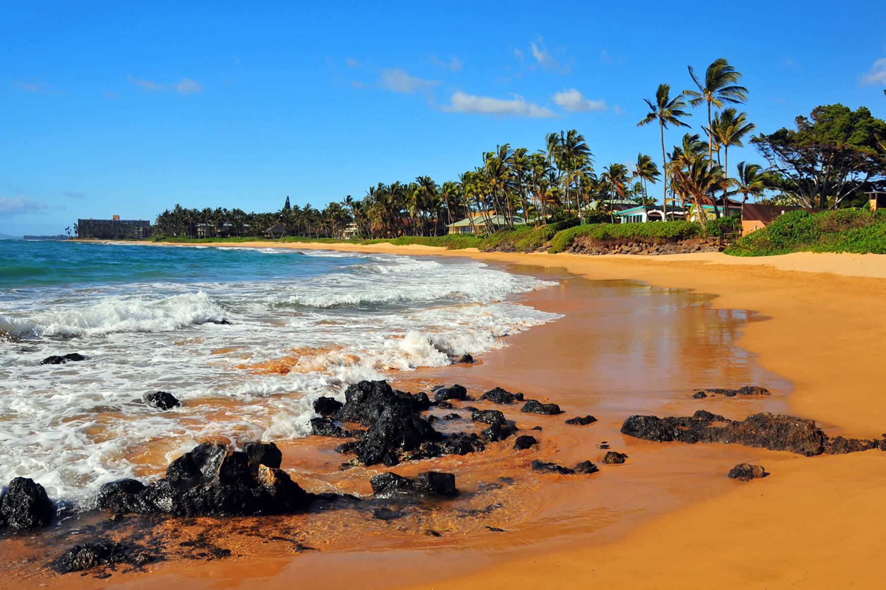 Grand Champions Wailea Condos for Sale Grand Champions Condo Listings