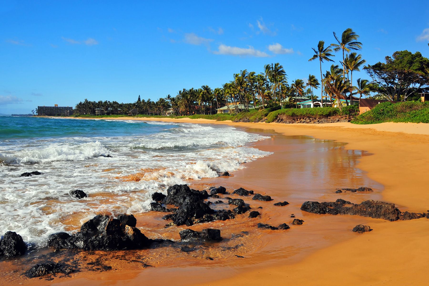 Maluhi at Wailea Maluhia at Wailea Homes for Sale Maluhia at Wailea Listings