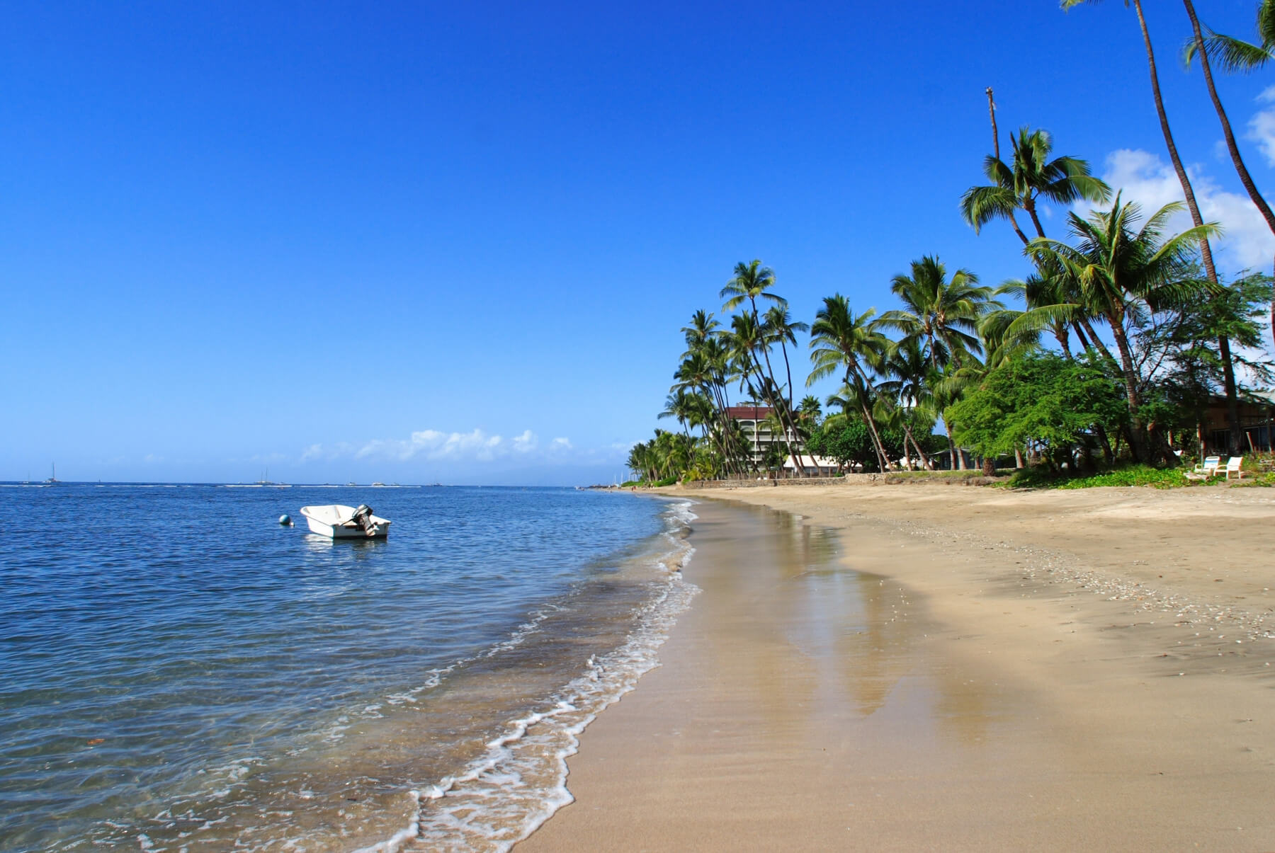 West Maui Vacation Rentable Condos West Maui Condominiums for Sale