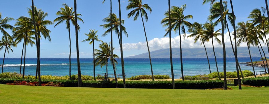 Coconut Grove Kapalua Bay