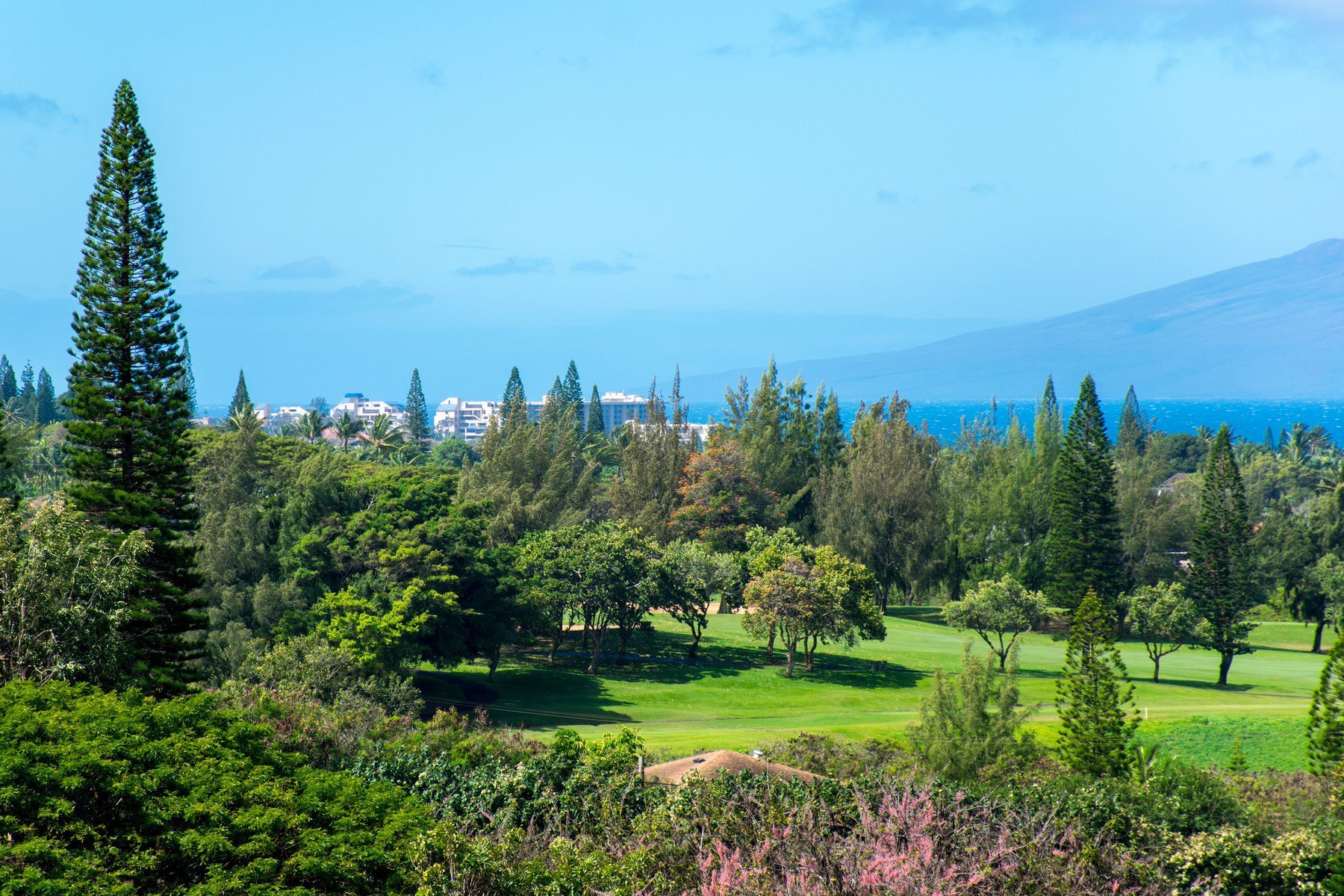 Kapalua Golf Villas for Sale