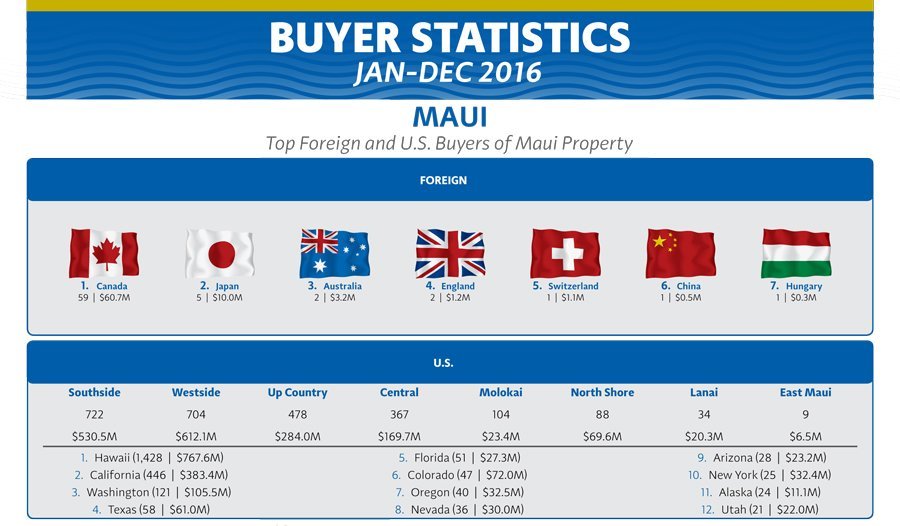Maui Buyer Statistics 2016
