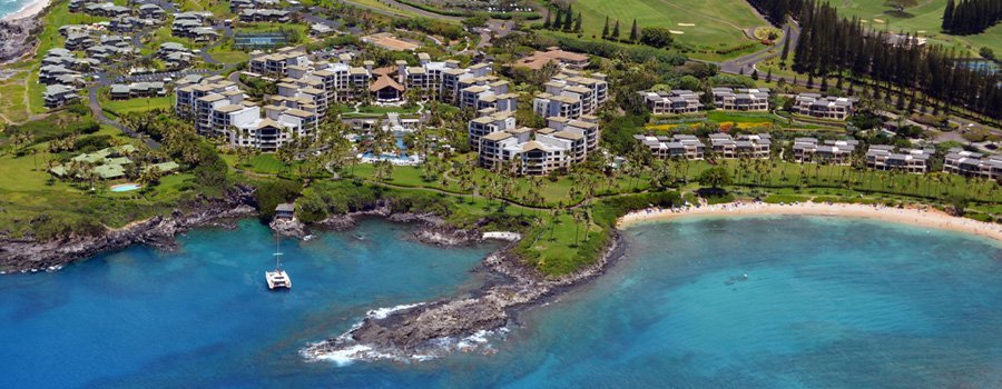 Kapalua Condos for Sale Montage Kapalua Bay and Coconut Grove Kapalua Bay