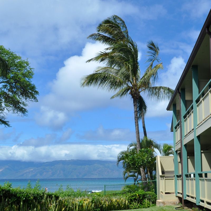 Napili Bay Condominium