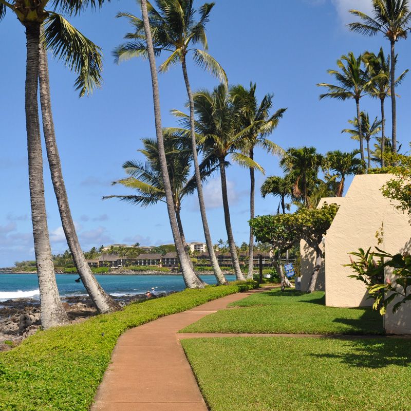 Napili Point