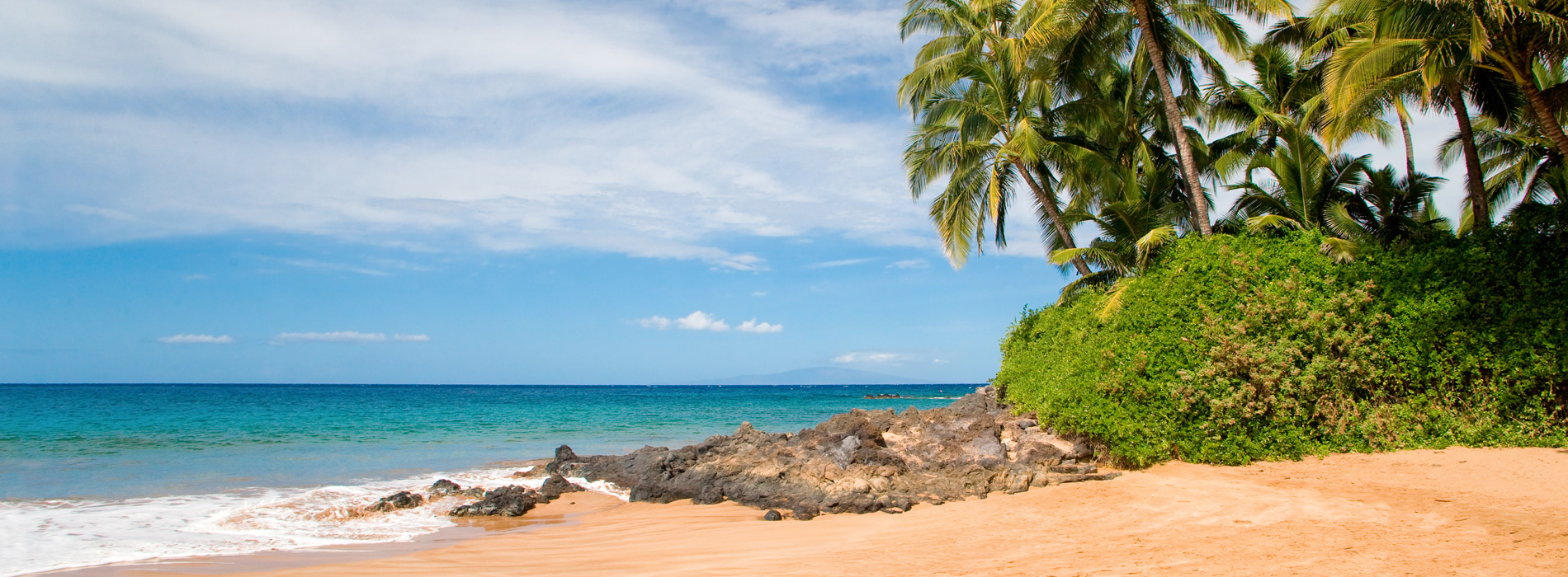 Maui Oceanfront