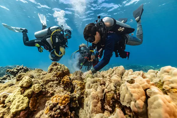 Live Aloha, Give Aloha: The Marine Institute