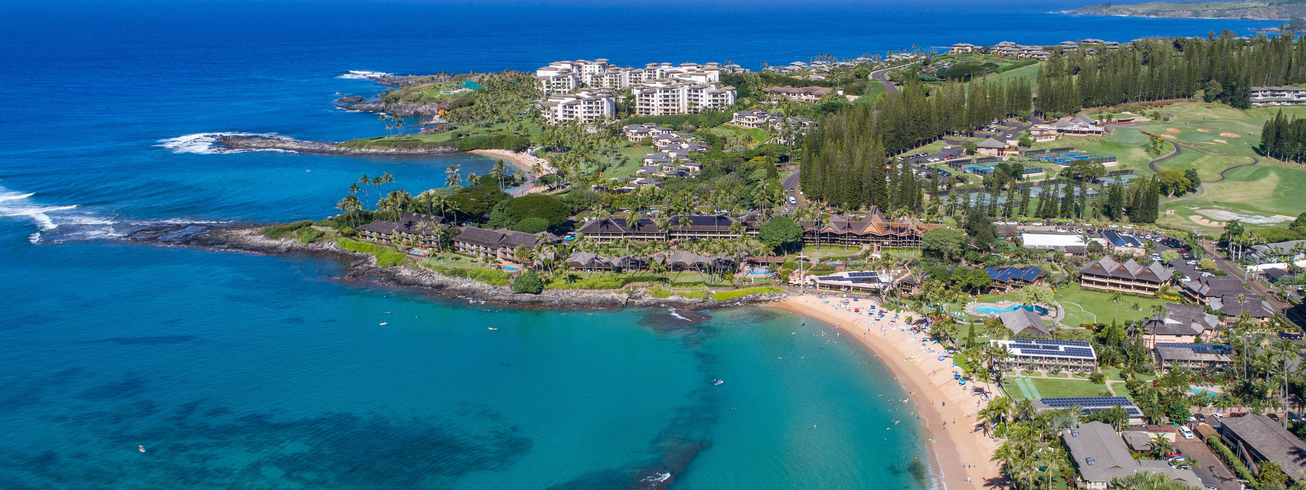 Napili Bay Condos for Sale